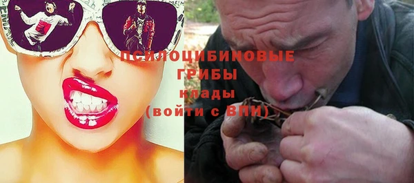 прущая мука Арсеньев