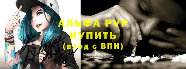 гидра Аркадак