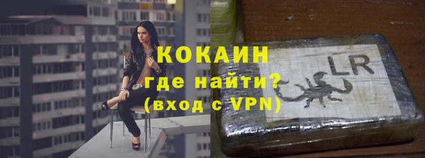 гидра Аркадак
