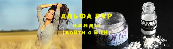 гидра Аркадак