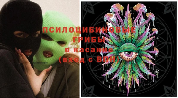 прущая мука Арсеньев