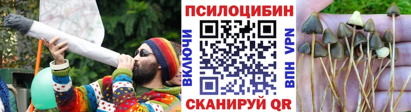 Галлюциногенные грибы Magic Shrooms Купить закладки Нефтекумск
